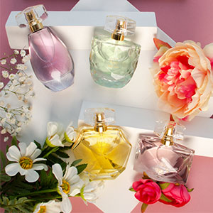 The Ultimate Guide to Fragrance