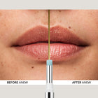 Anew Revival Lip Treatment  - 3.5 g