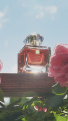 Radiance Eau de Parfum - 50ml